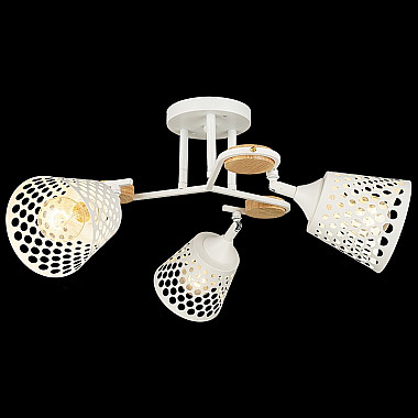 Спот 04218-0.3-03 WT