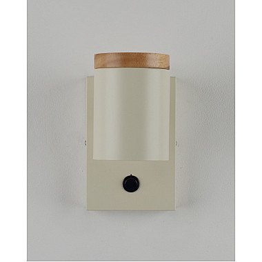 Спот Asheswood V11292-1W