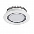 Точечный светильник Turbo Turbo 142.1-10W-WT/GR