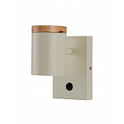 Спот Asheswood V11292-1W