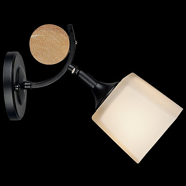 Спот 04217-0.2-01 BK