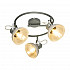 Спот Globo Daisy 54658-3