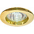 Точечный светильник 15010