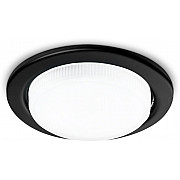 Точечный светильник Standard Spot G101 BK