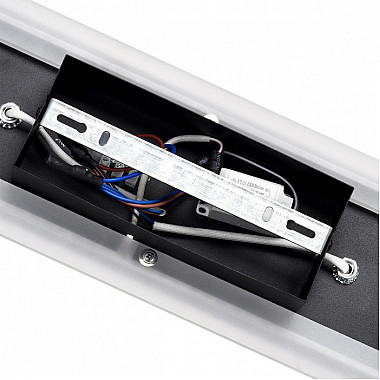 Спот Pine 8025/19WL