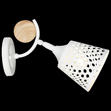 Спот 04218-0.2-01 WT