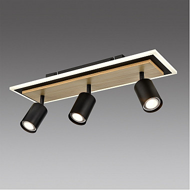 Спот Pine 8025/20WL