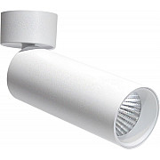 Спот Rollo DL18895R20W1W ST