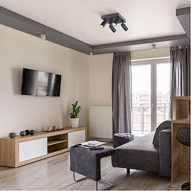 Спот Fleur 20066/4 LED черный/золото