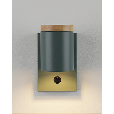 Спот Asheswood V11294-1W