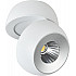 Спот 81174-9.5-001MZ COB8W WT