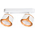 Спот Amaks A8028PL-2WH