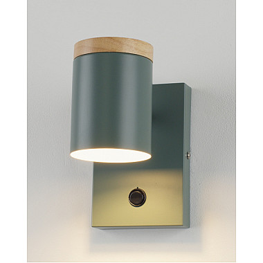 Спот Asheswood V11294-1W