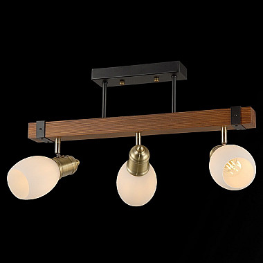 Спот IL9724-3CSQ-79 BK AB WD