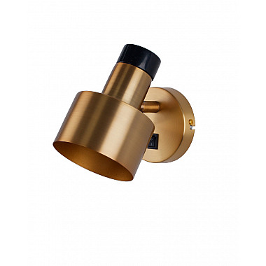 Спот Goldy V11313-1W