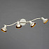 Спот Arte Lamp Focus A5219PL-4WG