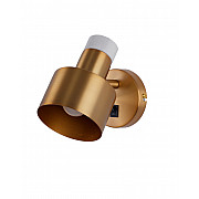 Спот Goldy V11314-1W