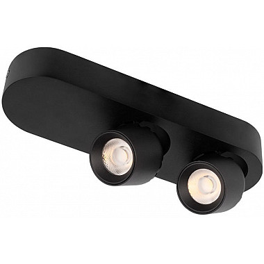 Спот Quiet 10320/2 Black