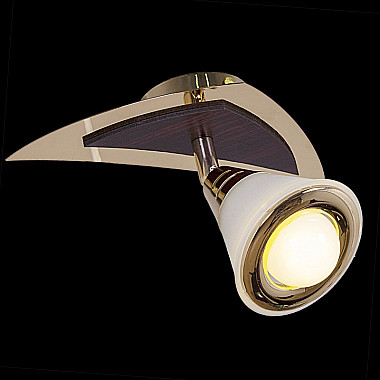 Спот 00640-0.3-01DA FGD+WD