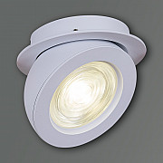 Спот 84053-9.0-001QR COB10W WT