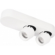 Спот Quiet 10320/2 White