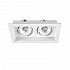 Точечный светильник Pixel PIXEL 112.2-7W*2-WT