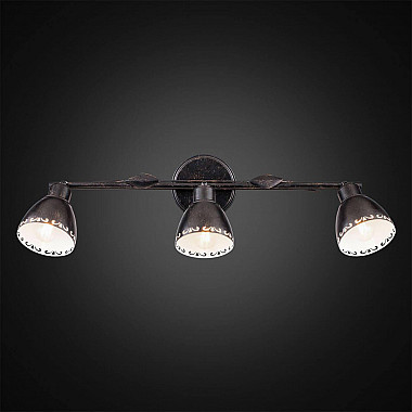 Спот Citilux Робуста CL509532