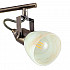 Спот Arte Lamp A9582PL-4AB