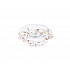 Точечный светильник N1629 N1629-White+gold