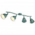 Спот Arte Lamp Campana A9557PL-4BG
