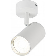 Спот OL35 WH