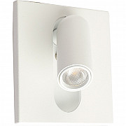 Спот Badd LC-22-0309