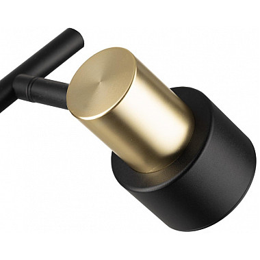 Спот Sat CL505621