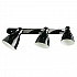 Спот Arte Lamp 48 A5049PL-3BK