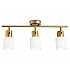 Спот Ambrella light Traditional TR3972
