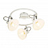 Спот Globo Amory 54657-3