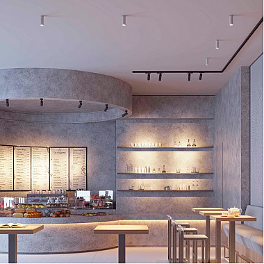 Спот ARTEMIS SURFACE FLAP 051794