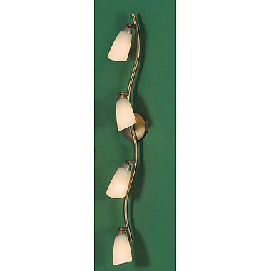 Спот Citilux Белла CL501543