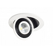 Точечный светильник DL18463/01WW-White R Dim