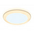 Точечный светильник Downlight DCR305