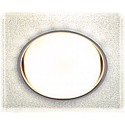 Точечный светильник DK LD50 CH/SHSL