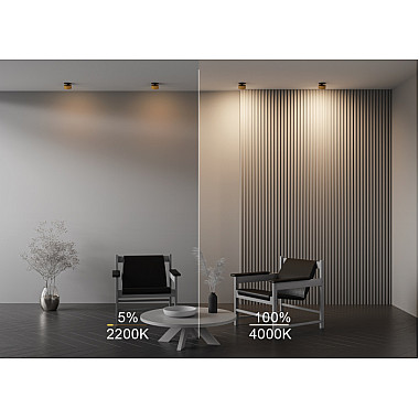 Точечный светильник Onda DL024-12W-DTW-BMG