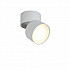 Светодиодный спот Crystal Lux CLT 130CW WH