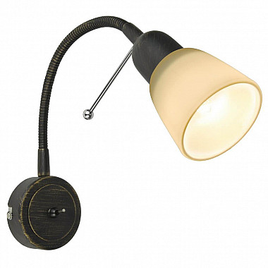 Спот Arte Lamp Lettura A7009AP-1BR