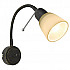 Спот Arte Lamp Lettura A7009AP-1BR