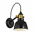 Спот Eglo Thornford 49522