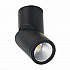 Светодиодный спот ST Luce ST650.442.10