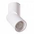 Светодиодный спот Arte Lamp Orione A7717PL-1WH