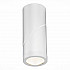 Светодиодный спот ST Luce ST650.542.10