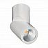 Светодиодный спот ST Luce ST650.542.10
